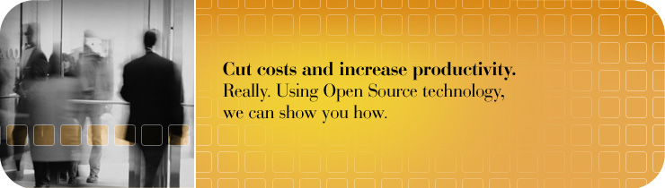 Cut costs and increase productivity. Really. Using Open Source technology, we can show you how.